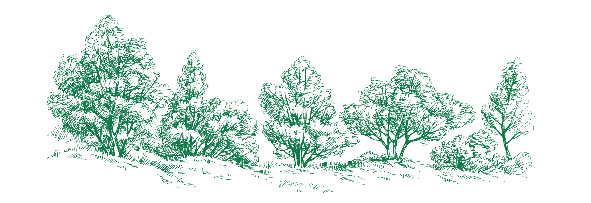 Bower Woods Red Deer, Alberta